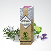 Au jardin de la reine